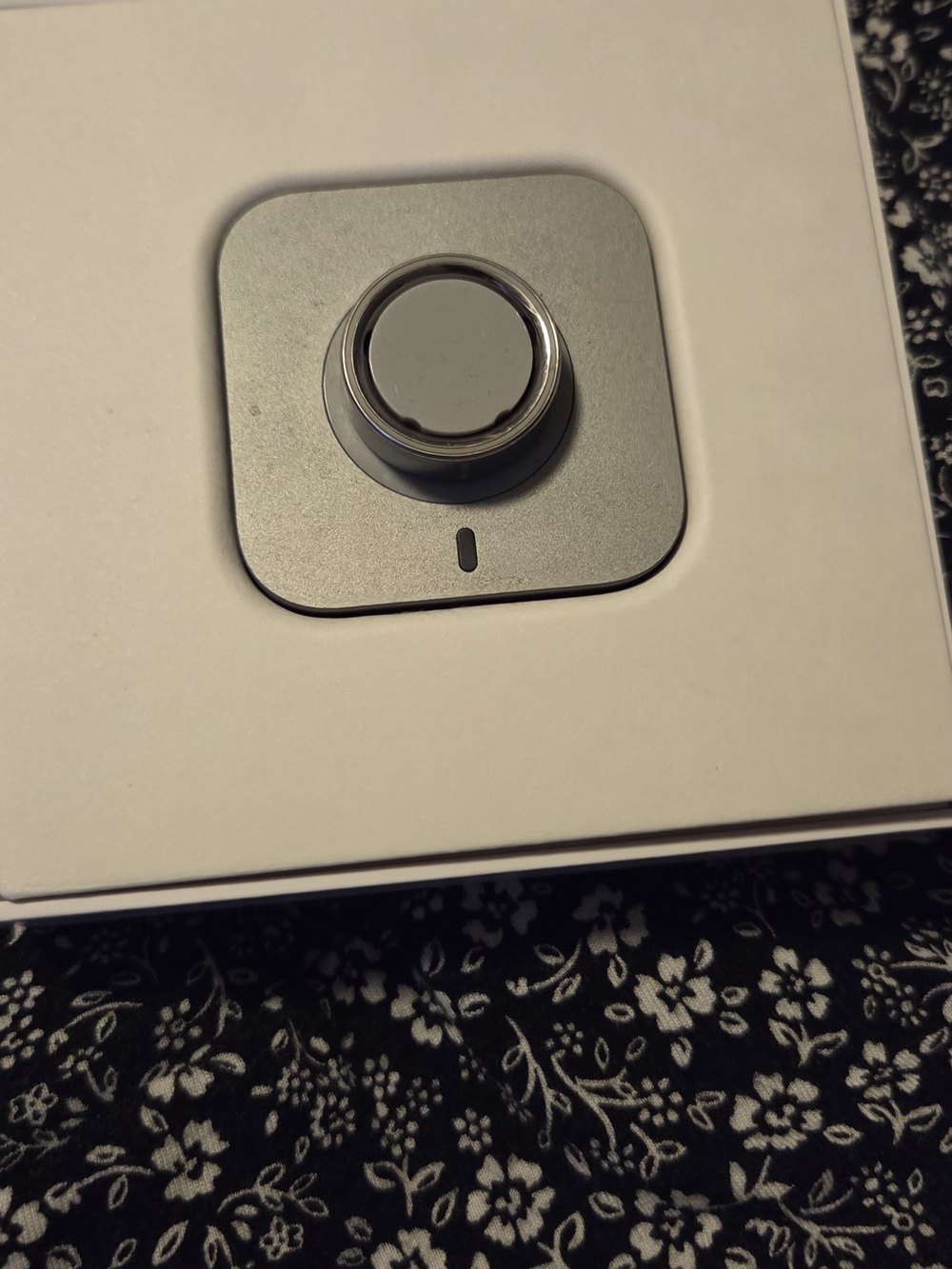 Oura Brushed Silver Size 8